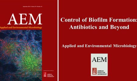 Control of Biofilm Formation: Antibiotics and Beyond