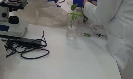 يوميات من قسم التقانة الاحيائية في كلية العلوم بجامعة ديالى.